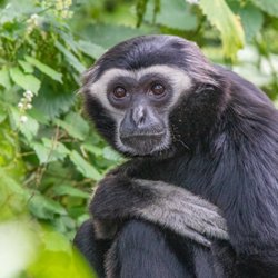 Paignton Zoo