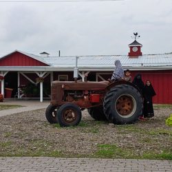 Reesor's Farm Market - Parking out front
