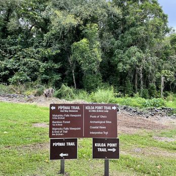 Pipiwai Trail - Hiking Near Me - Hana,, Hawaii