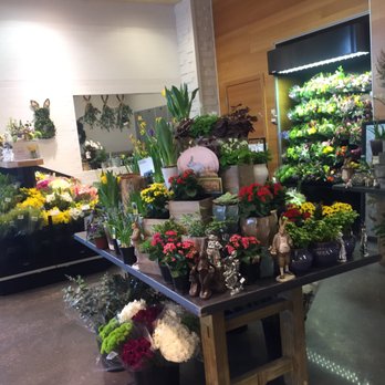 Standard Market - Grocery Near Me - Westmont, Illinois Standard Market - Grocery Near Me - Westmont, Illinois