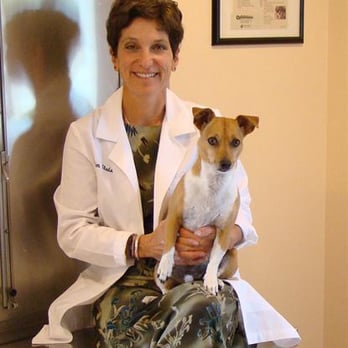 Flanders Veterinary Clinic - Dr Slade - Veterinarians Near Me - Flanders, New Jersey Flanders Veterinary Clinic - Dr Slade - Veterinarians Near Me - Flanders, New Jersey