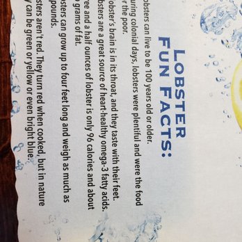 Lobster Haven - Seafood Near Me - Tampa, Florida