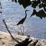 Photo of Great Shiplock Park