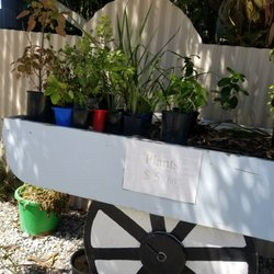 The Lignite Pit Cafe & Secret Garden - $5.00 plants.