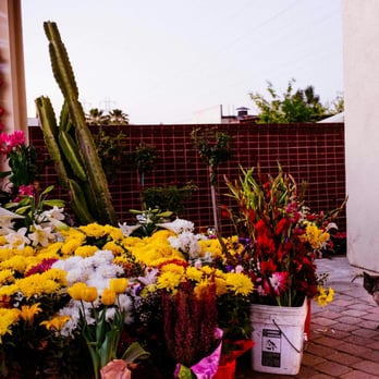 Blessed Sacrament Church - God called in the Cats to keep me company. - Churches Near Me - Westminster, California