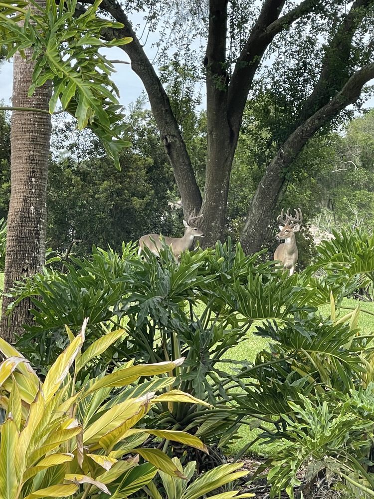 SILVIA BEHAMRE/MAX TOWN CENTRE 330 E Central Blvd, Orlando, FL Yelp