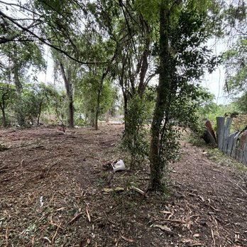 Clutter Ninjas - End product - An outdoor scene with trees, dirt ground, and some scattered debris, including a white plastic bag, in a natural setting. - Junk Removal & Hauling Near Me