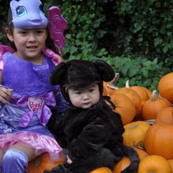 4 C's Pumpkin Patch - my lil pony and monkey on a pumpkin pile hella P's