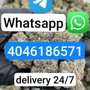 Herbal Care Rx