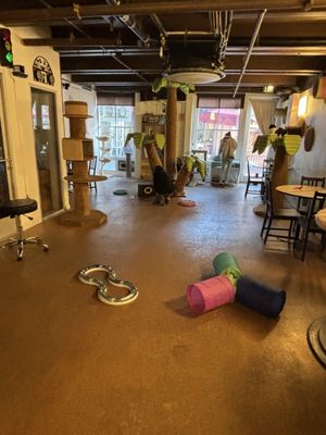 The Cat Cafe by null