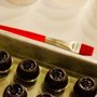 Photo of Chocolate Tales - Experience Taste!