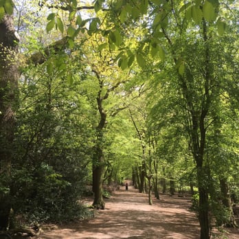 Parkland Walk - Parks Near Me