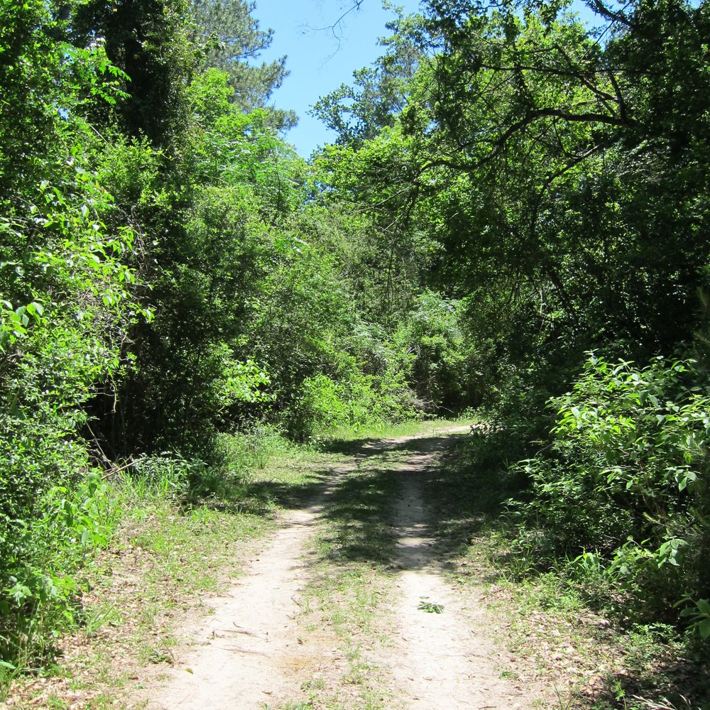 George Mitchell Nature Preserve - Parks Near Me - Spring, Texas George Mitchell Nature Preserve - Parks Near Me - Spring, Texas