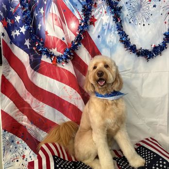 All Dogs Grooming Honolulu - Pet Groomers Near Me - Honolulu, Hawaii