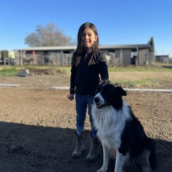 CA Horse & Pony - Horseback Riding Near Me - Lathrop, California CA Horse & Pony - Horseback Riding Near Me - Lathrop, California