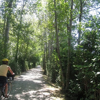 Deas Island Regional Park - Cycling (one of the few decent trails) - Parks Near Me - Delta, British Columbia