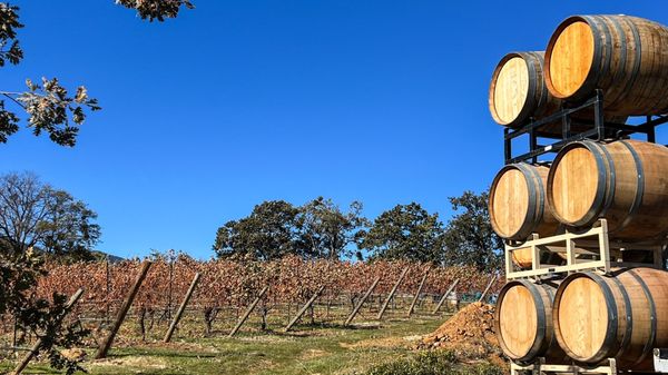 Weisinger Family Winery by null