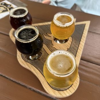 Mountain Toad Brewing - Breweries Near Me - Golden, Colorado
