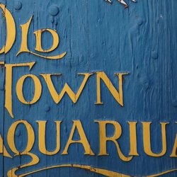 Old Town Aquarium
