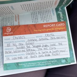 Dogtopia of Canton - Report Card