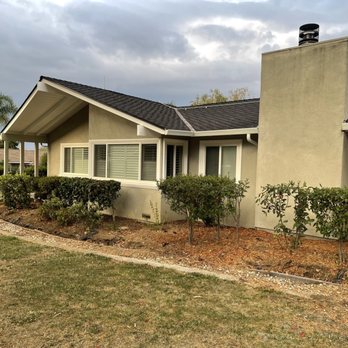 Franco Tree Service - After - Tree Services Near Me - Gilroy, California