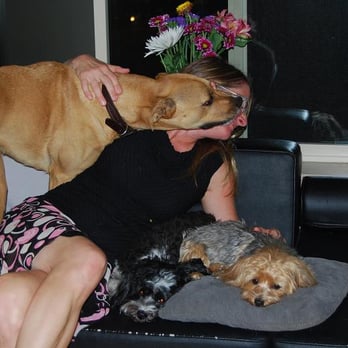 Decadent Dog Care - Camano Love - Dog Walkers Near Me Decadent Dog Care - Camano Love - Dog Walkers Near Me