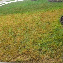 Greener Earth Organic Lawncare & Landscaping