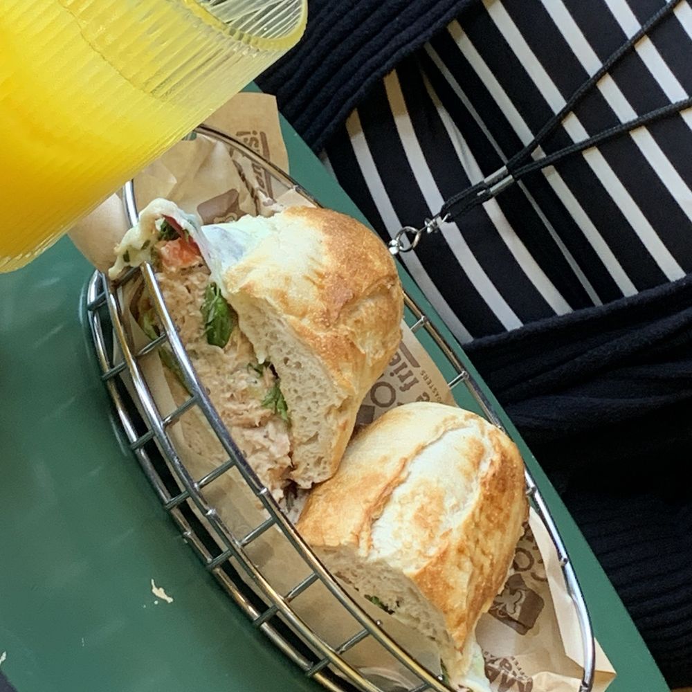 Macondo Downtown - Tuna sandwich - Coffee Roasteries Near Me - Miami, Florida Macondo Downtown - Tuna sandwich - Coffee Roasteries Near Me - Miami, Florida