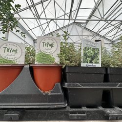 Metropolitan Farm - Come here for a good thyme
