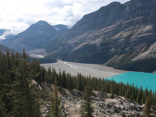 Peyto Lake by null