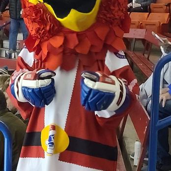 Buccaneer Arena - Stadiums & Arenas Near Me - Urbandale, Iowa Buccaneer Arena - Stadiums & Arenas Near Me - Urbandale, Iowa