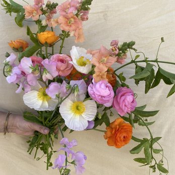 Wayward Daisy Flowers - Florists Near Me Wayward Daisy Flowers - Florists Near Me