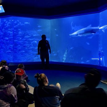 Maritime Aquarium - Shark talk - Aquariums Near Me - Norwalk, Connecticut Maritime Aquarium - Shark talk - Aquariums Near Me - Norwalk, Connecticut