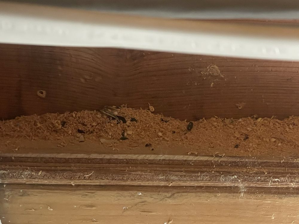 Slide of Logan Services A/C, Heat & Plumbing