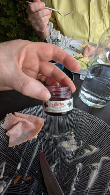 Haus des Meeres (House of the Sea) by null