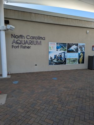 North Carolina Aquarium at Fort Fisher by null