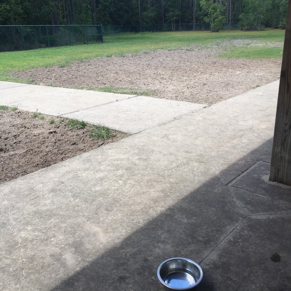 Veteran's Memorial Park - Dog Parks Near Me - Saint Johns, Florida Veteran's Memorial Park - Dog Parks Near Me - Saint Johns, Florida