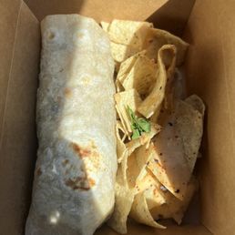 Birria burrito