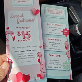 Pink Bird - The special was during valentines weekend - Car Wash Near Me - West Palm Beach, Florida