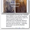 Yaretzi Haircut Salon gift card