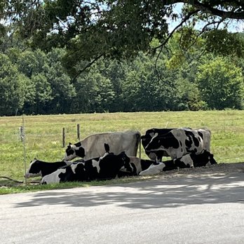Happy Cow Creamery - Happy cows! - Grocery Near Me - Pelzer, South Carolina Happy Cow Creamery - Happy cows! - Grocery Near Me - Pelzer, South Carolina