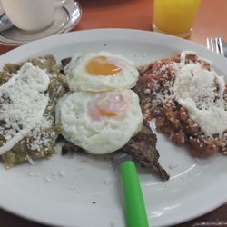 La Salamandra