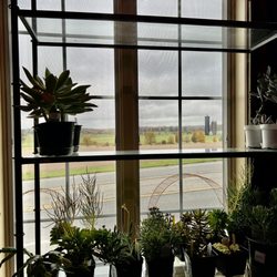 Cricket's Antique & Garden Market - Country view