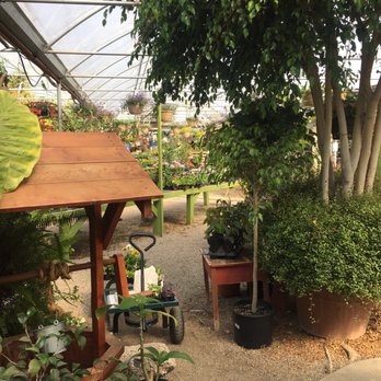 Edwards Greenhouse - Nurseries & Gardening Near Me - Boise, Idaho Edwards Greenhouse - Nurseries & Gardening Near Me - Boise, Idaho