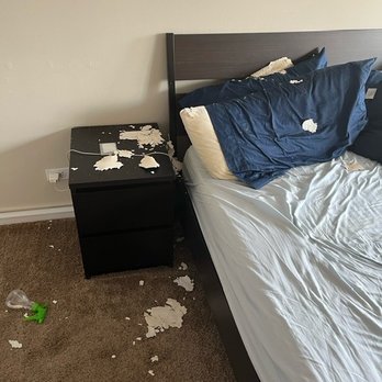 NRS Rental Property - Water Damage - Property Management Near Me - Chicago, Illinois NRS Rental Property - Water Damage - Property Management Near Me - Chicago, Illinois