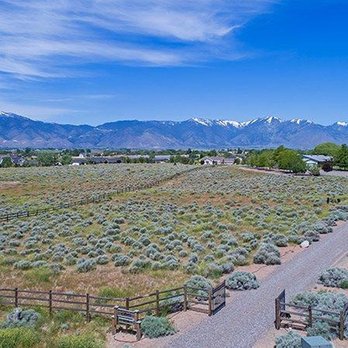 Amanda Moline - RE/MAX Realty Affiliates - Real Estate Agents Near Me - Gardnerville, Nevada Amanda Moline - RE/MAX Realty Affiliates - Real Estate Agents Near Me - Gardnerville, Nevada