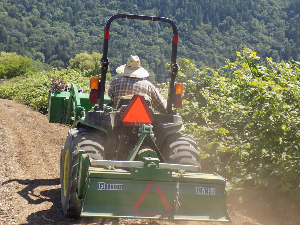 CLEAN GREENS FARM & MARKET Updated July 2024 124 21st Ave, Seattle