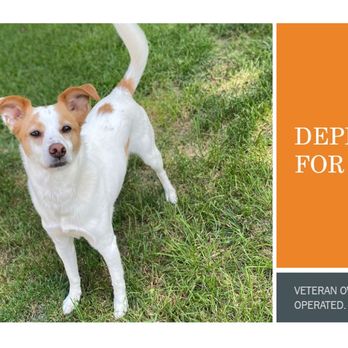 Tactical Turd Team - Pet Waste Removal Near Me - Sappington, Missouri Tactical Turd Team - Pet Waste Removal Near Me - Sappington, Missouri