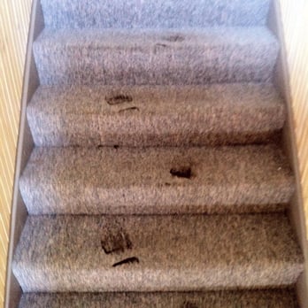 Pro Care Cleaning - Someone walked upstairs with grease on their shoes - Carpet Cleaning Near Me - Duluth, Minnesota Pro Care Cleaning - Someone walked upstairs with grease on their shoes - Carpet Cleaning Near Me - Duluth, Minnesota