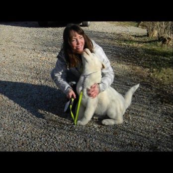 Fullmoon Akitas - Pet Breeders Near Me